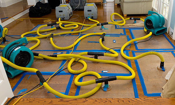 Professional Flood Damage Restoration technician working in Crystal Lake, IL